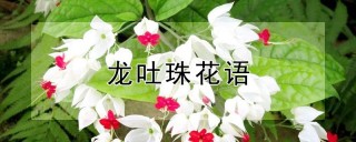 龙吐珠花语,第1图