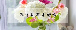 怎样插花才好看,第1图