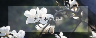 大乔木有哪些,第1图