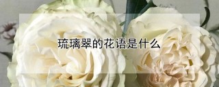 琉璃翠的花语是什么,第1图