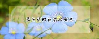 蓝色花的花语和寓意,第1图