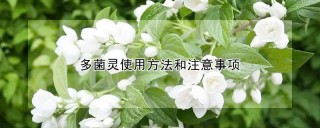 多菌灵使用方法和注意事项,第1图