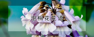 泡桐花花语,第1图