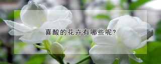 喜酸的花卉有哪些呢?,第1图