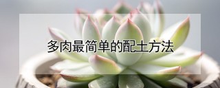 多肉最简单的配土方法,第1图