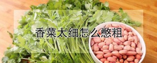 香菜太细怎么憋粗,第1图