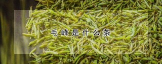 毛峰是什么茶,第1图