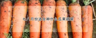 七八月份适合种什么瓜果蔬菜,第1图