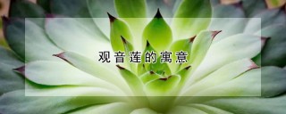 观音莲的寓意,第1图