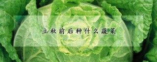 立秋前后种什么蔬菜,第1图