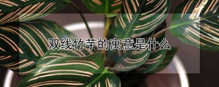 双线竹芋的寓意是什么,第1图