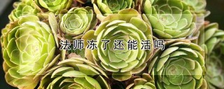 法师冻了还能活吗,第1图