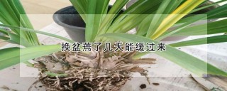 换盆蔫了几天能缓过来,第1图