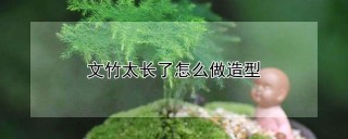 文竹太长了怎么做造型,第1图