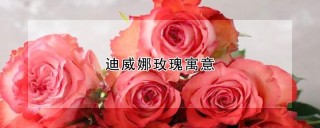 迪威娜玫瑰寓意,第1图