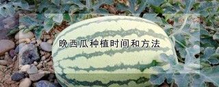 晚西瓜种植时间和方法,第1图