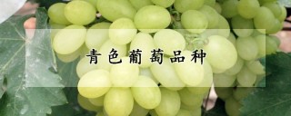 青色葡萄品种,第1图