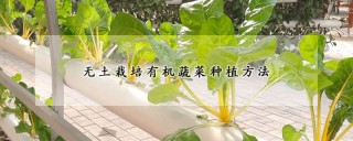 无土栽培有机蔬菜种植方法,第1图