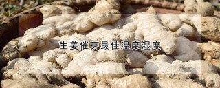 生姜催芽最佳温度湿度,第1图