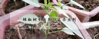 辣椒树生虫用什么杀虫剂,第1图