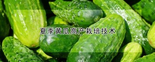 夏季黄瓜高产栽培技术,第1图