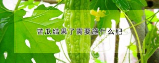 苦瓜结果了需要施什么肥,第1图