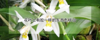 花叶上有胶一样的东西怎样治,第1图