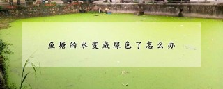 鱼塘的水变成绿色了怎么办,第1图