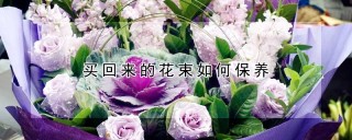 买回来的花束如何保养,第1图