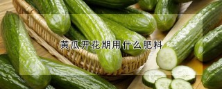 黄瓜开花期用什么肥料,第1图