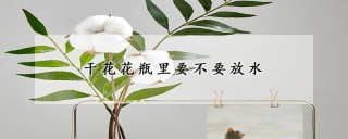 干花花瓶里要不要放水,第1图