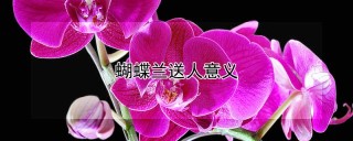 蝴蝶兰送人意义,第1图