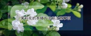 茉莉花的养殖方法和注意事项,第1图