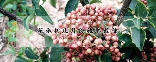 花椒树几月份施肥最佳,第1图