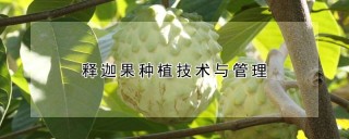 释迦果种植技术与管理,第1图