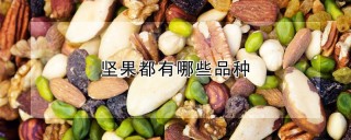 坚果都有哪些品种,第1图