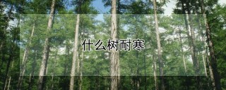 什么树耐寒,第1图