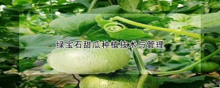 绿宝石甜瓜种植技术与管理,第1图