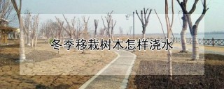 冬季移栽树木怎样浇水,第1图