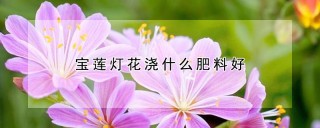 宝莲灯花浇什么肥料好,第1图