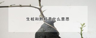 生桩和熟桩是什么意思,第1图