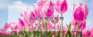 春天有哪些植物,第1图