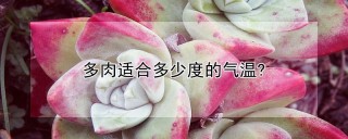 多肉适合多少度的气温?,第1图