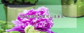 牡丹花插在水里可以活多久,第1图