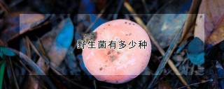 野生菌有多少种,第1图