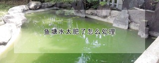 鱼塘水太肥了怎么处理,第1图