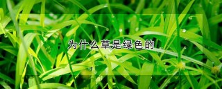 为什么草是绿色的,第1图