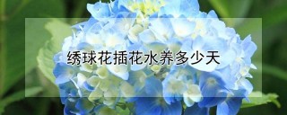 绣球花插花水养多少天,第1图