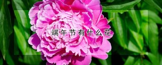 端午节有什么花,第1图