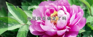 中国国花确定了吗,第1图